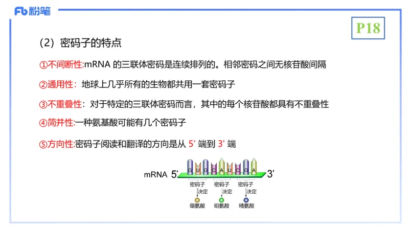 理论精讲03-分子生物学3-拾光_4-教培资料-26年最新资料-同步更新_初中高中教资_03科三专项（进去保存报考的学科即可）_01科目三FB网课、三色速记手册、知识点导图等推荐_初中