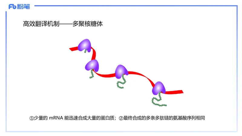 理论精讲03-分子生物学3-拾光_4-教培资料-26年最新资料-同步更新_初中高中教资_03科三专项（进去保存报考的学科即可）_01科目三FB网课、三色速记手册、知识点导图等推荐_初中