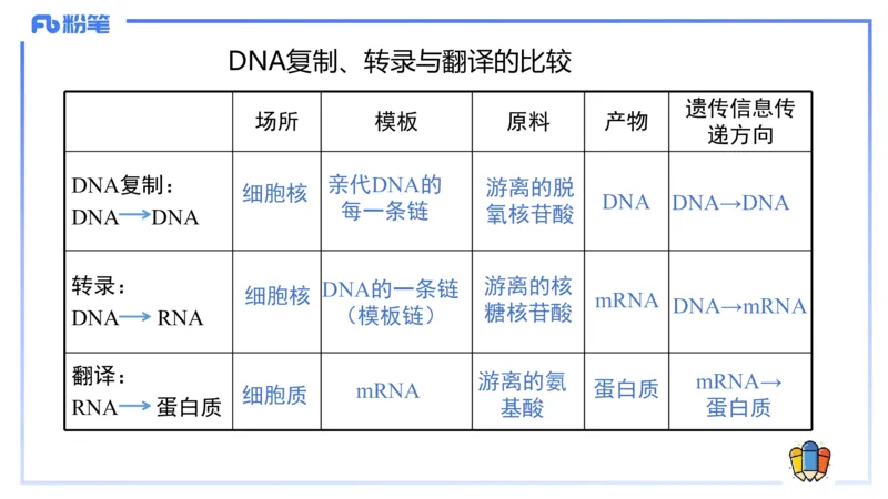 理论精讲03-分子生物学3-拾光_4-教培资料-26年最新资料-同步更新_初中高中教资_03科三专项（进去保存报考的学科即可）_01科目三FB网课、三色速记手册、知识点导图等推荐_初中