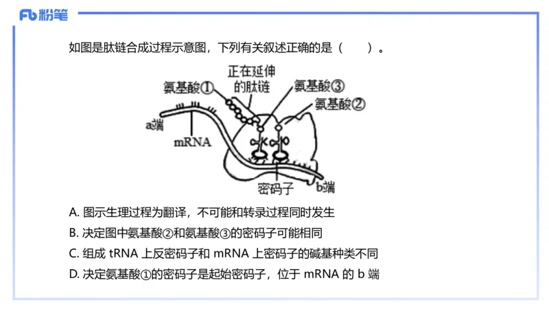 理论精讲03-分子生物学3-拾光_4-教培资料-26年最新资料-同步更新_初中高中教资_03科三专项（进去保存报考的学科即可）_01科目三FB网课、三色速记手册、知识点导图等推荐_初中