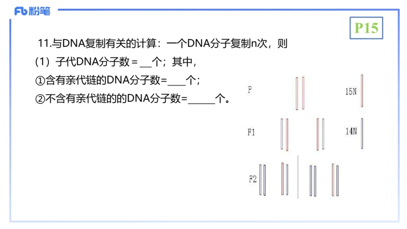 理论精讲03-分子生物学3-拾光_4-教培资料-26年最新资料-同步更新_初中高中教资_03科三专项（进去保存报考的学科即可）_01科目三FB网课、三色速记手册、知识点导图等推荐_初中