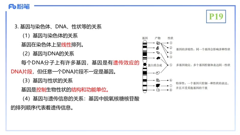理论精讲03-分子生物学3-拾光_4-教培资料-26年最新资料-同步更新_初中高中教资_03科三专项（进去保存报考的学科即可）_01科目三FB网课、三色速记手册、知识点导图等推荐_初中