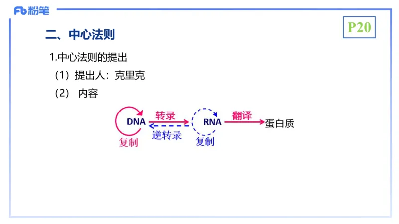 理论精讲03-分子生物学3-拾光_4-教培资料-26年最新资料-同步更新_初中高中教资_03科三专项（进去保存报考的学科即可）_01科目三FB网课、三色速记手册、知识点导图等推荐_初中
