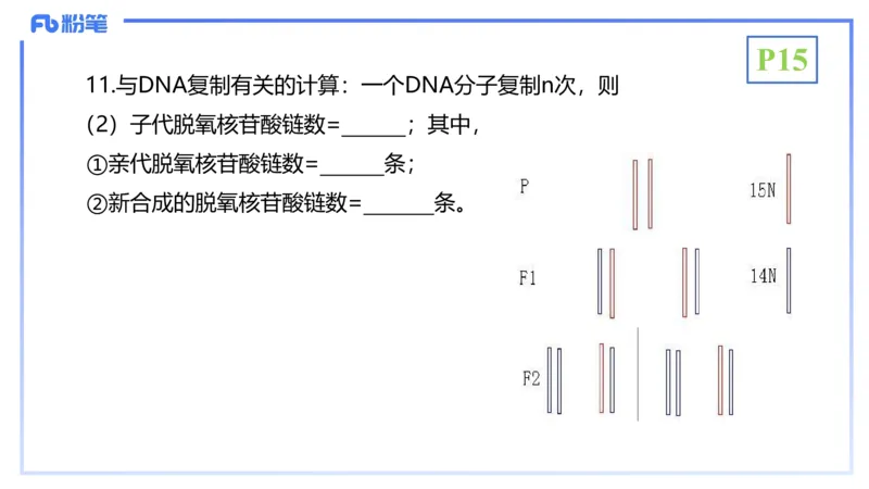 理论精讲03-分子生物学3-拾光_4-教培资料-26年最新资料-同步更新_初中高中教资_03科三专项（进去保存报考的学科即可）_01科目三FB网课、三色速记手册、知识点导图等推荐_初中