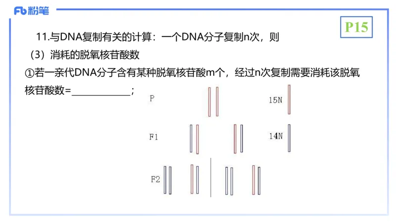 理论精讲03-分子生物学3-拾光_4-教培资料-26年最新资料-同步更新_初中高中教资_03科三专项（进去保存报考的学科即可）_01科目三FB网课、三色速记手册、知识点导图等推荐_初中