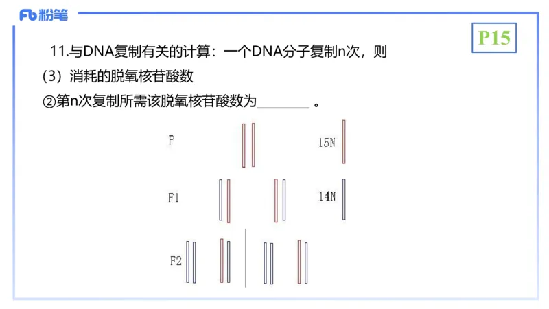 理论精讲03-分子生物学3-拾光_4-教培资料-26年最新资料-同步更新_初中高中教资_03科三专项（进去保存报考的学科即可）_01科目三FB网课、三色速记手册、知识点导图等推荐_初中