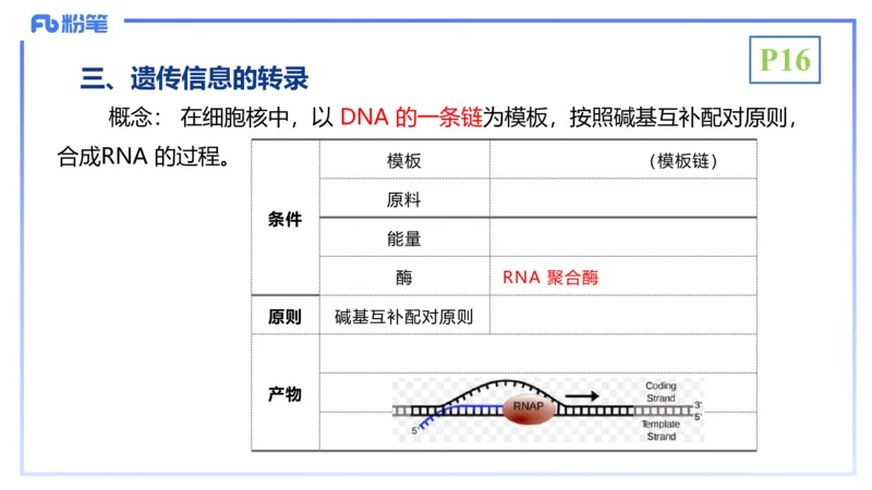 理论精讲03-分子生物学3-拾光_4-教培资料-26年最新资料-同步更新_初中高中教资_03科三专项（进去保存报考的学科即可）_01科目三FB网课、三色速记手册、知识点导图等推荐_初中