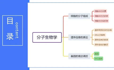 理论精讲03-分子生物学3-拾光_4-教培资料-26年最新资料-同步更新_初中高中教资_03科三专项（进去保存报考的学科即可）_01科目三FB网课、三色速记手册、知识点导图等推荐_初中