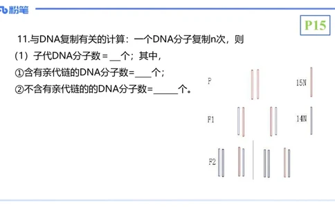 理论精讲03-分子生物学3-拾光_4-教培资料-26年最新资料-同步更新_初中高中教资_03科三专项（进去保存报考的学科即可）_01科目三FB网课、三色速记手册、知识点导图等推荐_初中