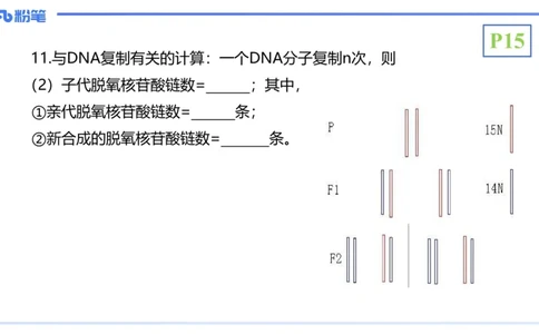 理论精讲03-分子生物学3-拾光_4-教培资料-26年最新资料-同步更新_初中高中教资_03科三专项（进去保存报考的学科即可）_01科目三FB网课、三色速记手册、知识点导图等推荐_初中