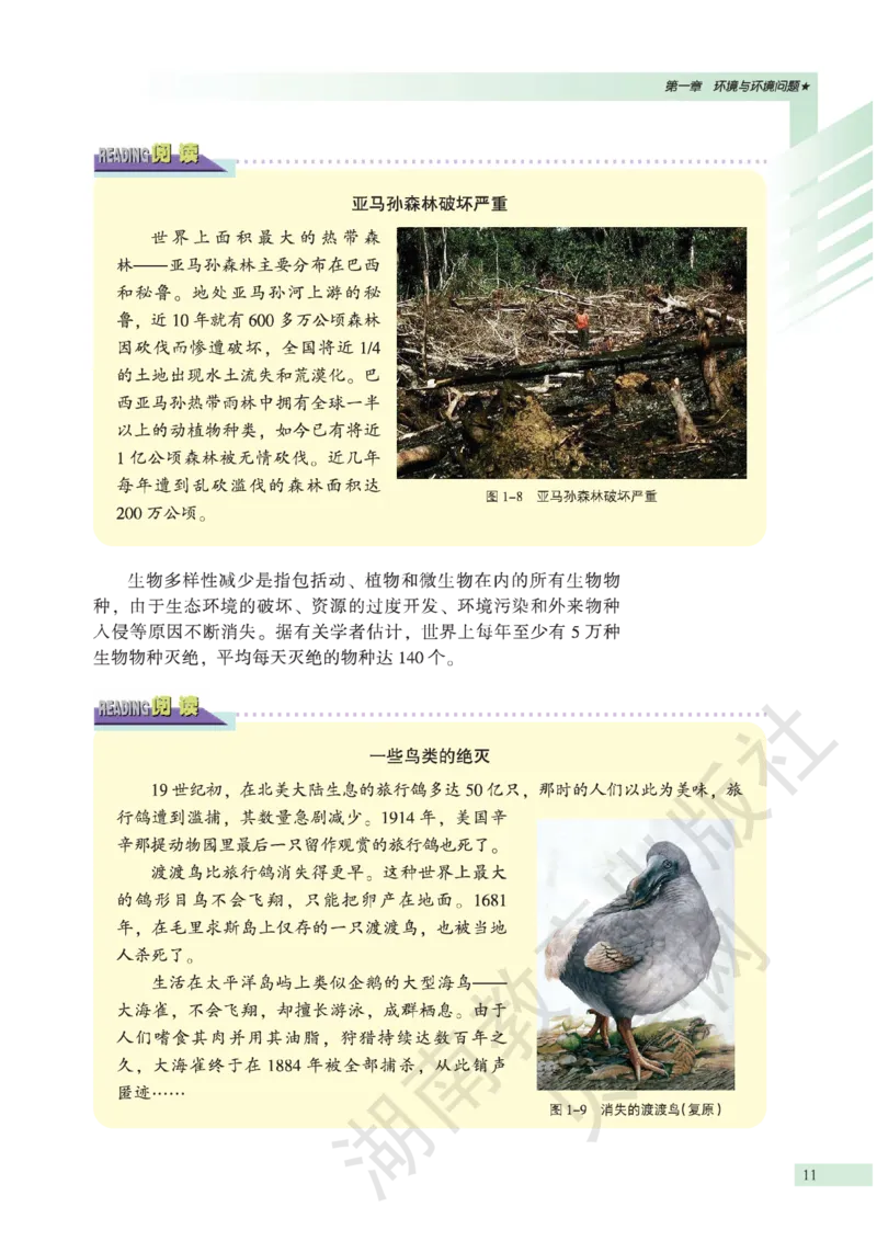 湘教版高中地理选修6_4-教培资料-26年最新资料-同步更新_初中高中教资_03科三专项（进去保存报考的学科即可）_02科三专项（笔记真题思维导图教学设计版本二）