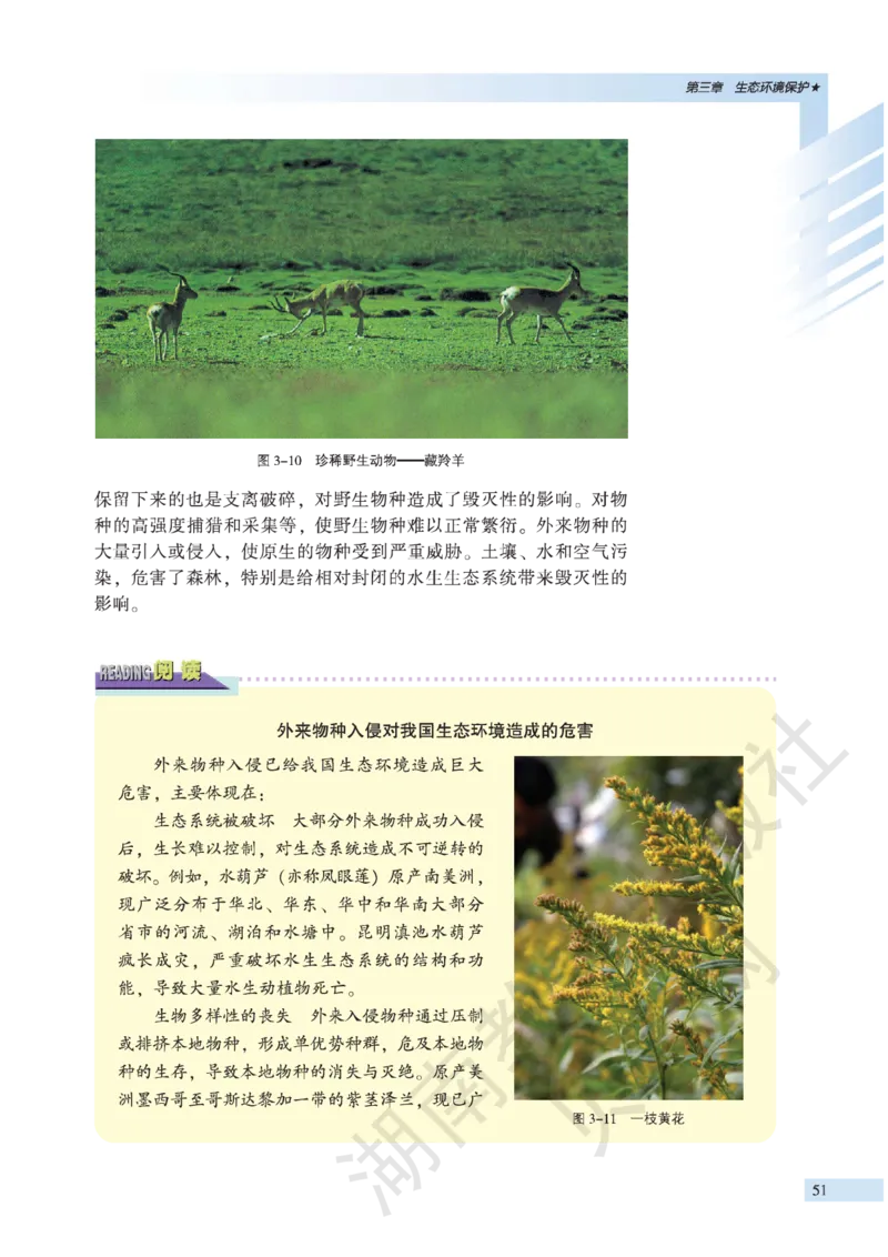 湘教版高中地理选修6_4-教培资料-26年最新资料-同步更新_初中高中教资_03科三专项（进去保存报考的学科即可）_02科三专项（笔记真题思维导图教学设计版本二）