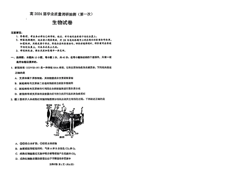 2024届重庆市高三生物学业质量调研抽测第一次生物试题_2024年1月_01每日更新_20号_2024届重庆主城区高学业质量调研抽测(第一次)_重庆主城区高2024届学业质量调研抽测（第一次）生物