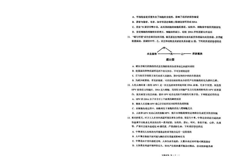 2024届重庆市高三生物学业质量调研抽测第一次生物试题_2024年1月_01每日更新_20号_2024届重庆主城区高学业质量调研抽测(第一次)_重庆主城区高2024届学业质量调研抽测（第一次）生物