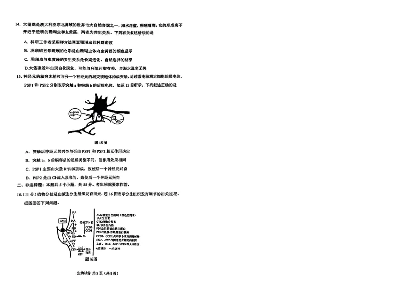 2024届重庆市高三生物学业质量调研抽测第一次生物试题_2024年1月_01每日更新_20号_2024届重庆主城区高学业质量调研抽测(第一次)_重庆主城区高2024届学业质量调研抽测（第一次）生物