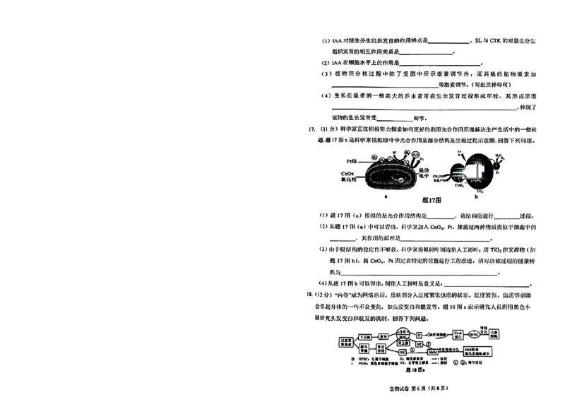 2024届重庆市高三生物学业质量调研抽测第一次生物试题_2024年1月_01每日更新_20号_2024届重庆主城区高学业质量调研抽测(第一次)_重庆主城区高2024届学业质量调研抽测（第一次）生物