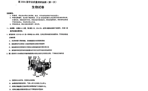 2024届重庆市高三生物学业质量调研抽测第一次生物试题_2024年1月_01每日更新_20号_2024届重庆主城区高学业质量调研抽测(第一次)_重庆主城区高2024届学业质量调研抽测（第一次）生物