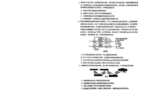2024届重庆市高三生物学业质量调研抽测第一次生物试题_2024年1月_01每日更新_20号_2024届重庆主城区高学业质量调研抽测(第一次)_重庆主城区高2024届学业质量调研抽测（第一次）生物