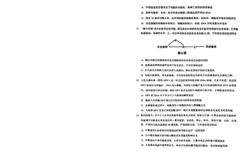 2024届重庆市高三生物学业质量调研抽测第一次生物试题_2024年1月_01每日更新_20号_2024届重庆主城区高学业质量调研抽测(第一次)_重庆主城区高2024届学业质量调研抽测（第一次）生物
