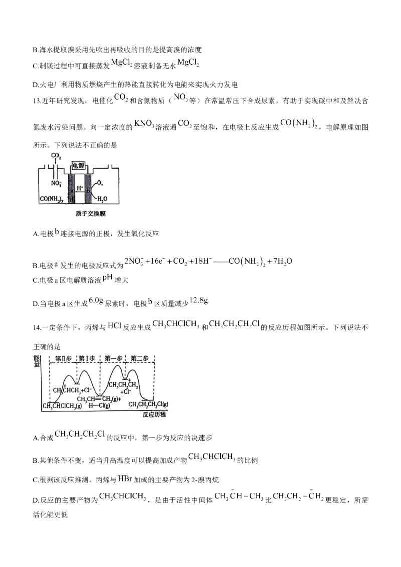 浙江省北斗星2024届高三上学期12月适应性考试化学_2024届浙江省北斗星高三上学期12月适应性考试