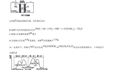 浙江省北斗星2024届高三上学期12月适应性考试化学_2024届浙江省北斗星高三上学期12月适应性考试