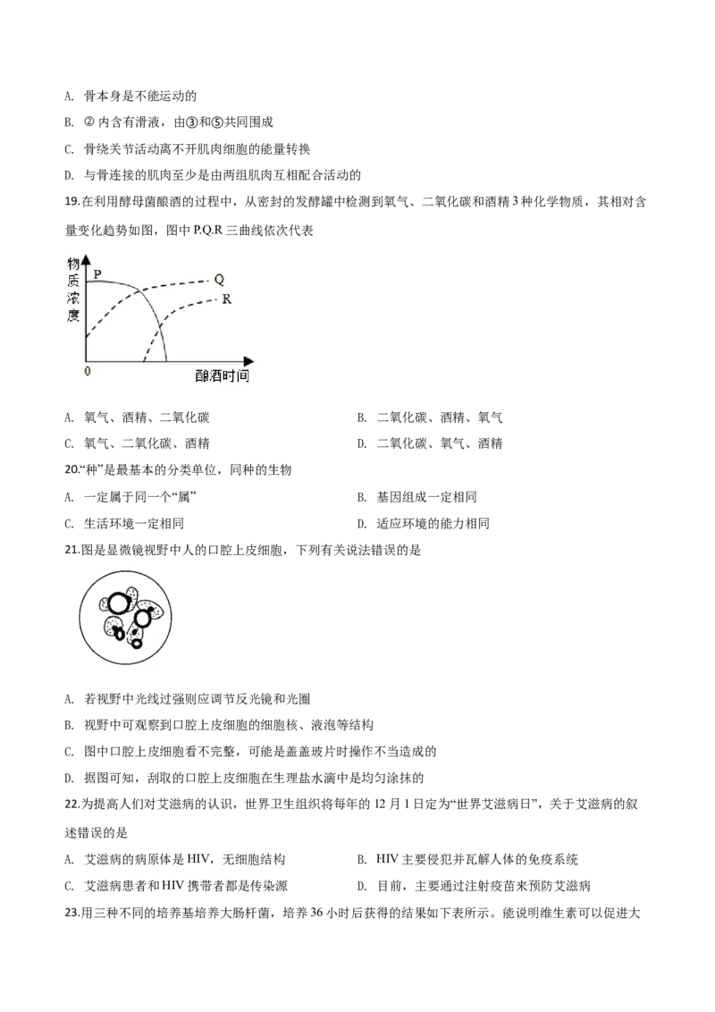 精品解析：2019年山东日照中考生物试题（原卷版）_中考真题_8.生物中考真题2015-2024年_2019年全国中考生物92份_精品解析：山东省日照市2019年中考生物试题