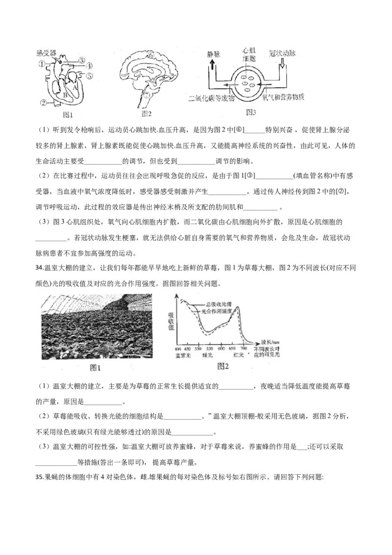 精品解析：2019年山东日照中考生物试题（原卷版）_中考真题_8.生物中考真题2015-2024年_2019年全国中考生物92份_精品解析：山东省日照市2019年中考生物试题