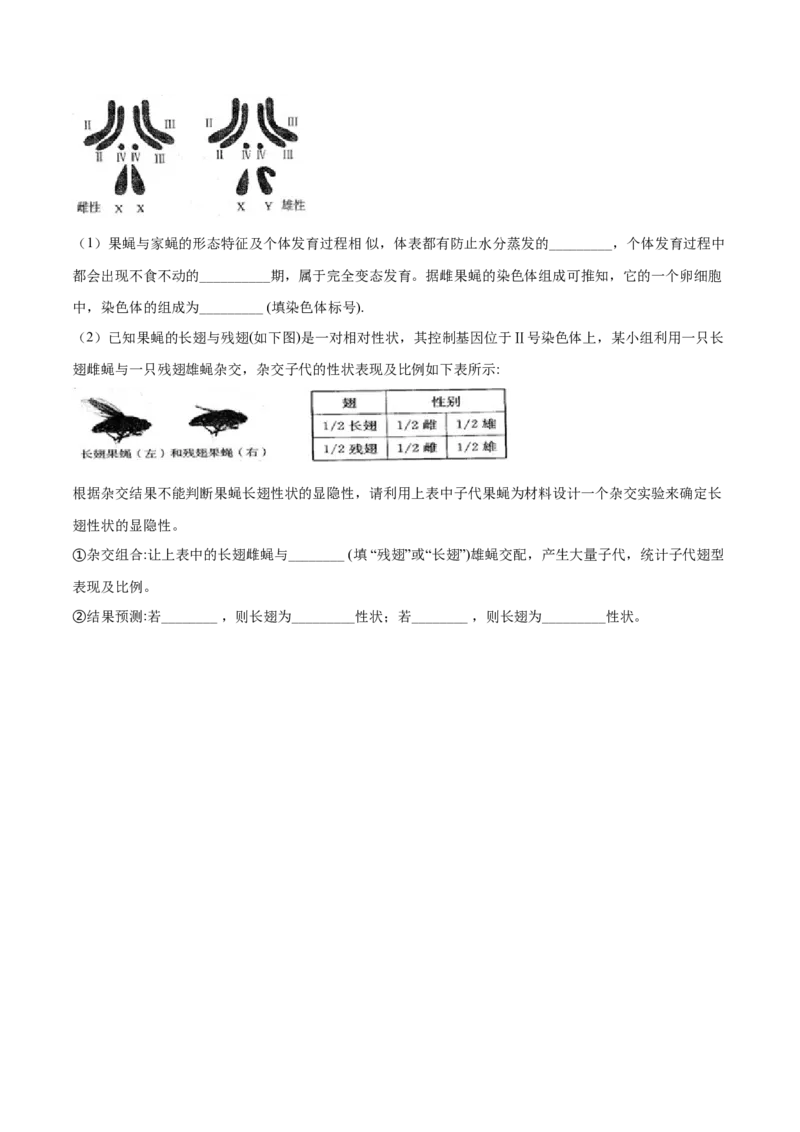 精品解析：2019年山东日照中考生物试题（原卷版）_中考真题_8.生物中考真题2015-2024年_2019年全国中考生物92份_精品解析：山东省日照市2019年中考生物试题