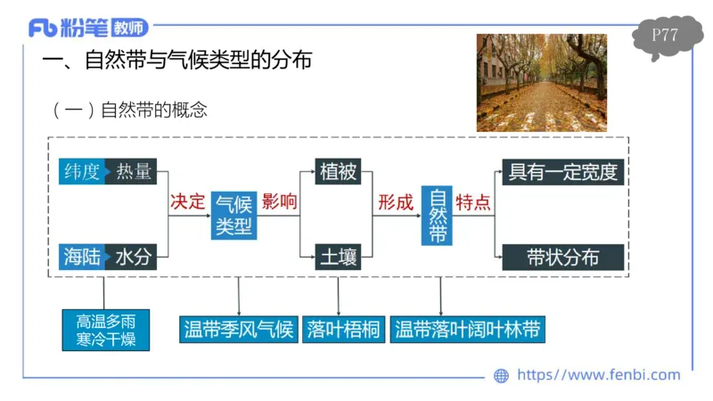 理论精讲08-自然地理8-莬姜_4-教培资料-26年最新资料-同步更新_初中高中教资_03科三专项（进去保存报考的学科即可）_01科目三FB网课、三色速记手册、知识点导图等推荐_初中