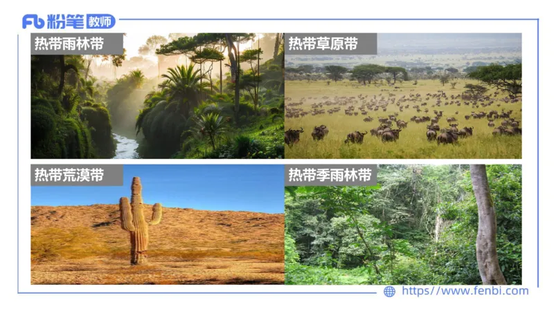 理论精讲08-自然地理8-莬姜_4-教培资料-26年最新资料-同步更新_初中高中教资_03科三专项（进去保存报考的学科即可）_01科目三FB网课、三色速记手册、知识点导图等推荐_初中