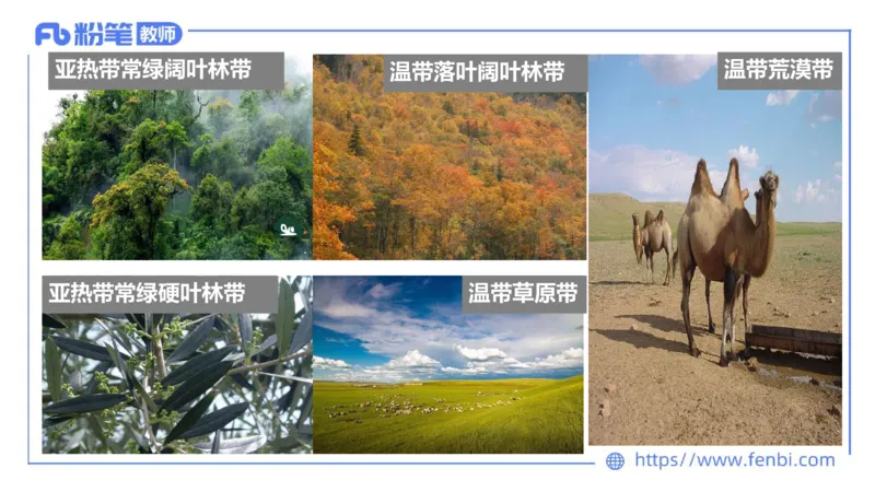 理论精讲08-自然地理8-莬姜_4-教培资料-26年最新资料-同步更新_初中高中教资_03科三专项（进去保存报考的学科即可）_01科目三FB网课、三色速记手册、知识点导图等推荐_初中