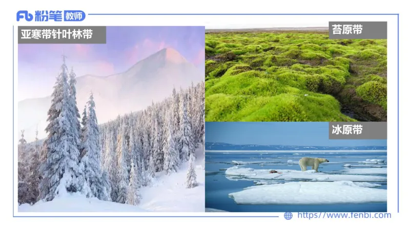 理论精讲08-自然地理8-莬姜_4-教培资料-26年最新资料-同步更新_初中高中教资_03科三专项（进去保存报考的学科即可）_01科目三FB网课、三色速记手册、知识点导图等推荐_初中