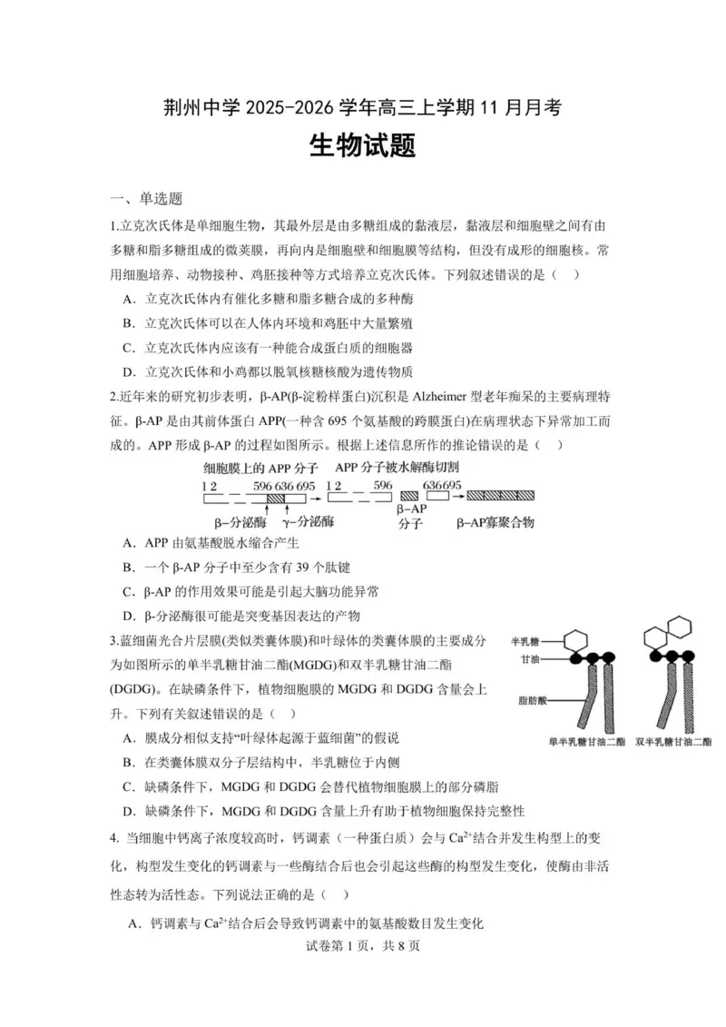 湖北省荆州中学2025-2026学年高三上学期11月月考生物试题_2025年12月_251201湖北荆州中学2026届高三上学期11月月考（全科）