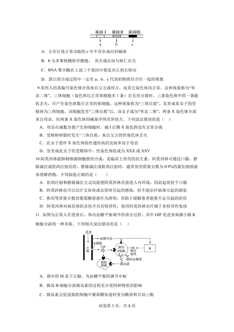 湖北省荆州中学2025-2026学年高三上学期11月月考生物试题_2025年12月_251201湖北荆州中学2026届高三上学期11月月考（全科）