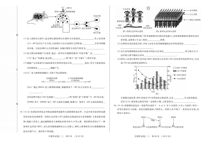 新时代高中教育联合体2025年11月高三学年期中联考巩固卷（二）生物_251112黑龙江省新时代高中教育联合体2025年11月高三学年期中联考巩固卷（二）（全科）