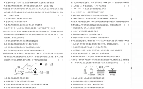 新时代高中教育联合体2025年11月高三学年期中联考巩固卷（二）生物_251112黑龙江省新时代高中教育联合体2025年11月高三学年期中联考巩固卷（二）（全科）