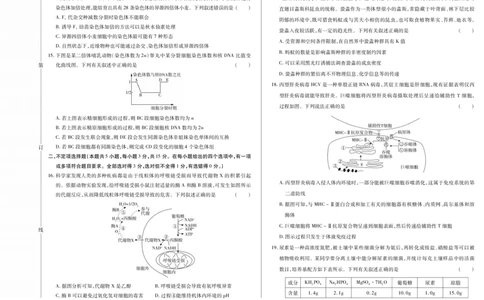新时代高中教育联合体2025年11月高三学年期中联考巩固卷（二）生物_251112黑龙江省新时代高中教育联合体2025年11月高三学年期中联考巩固卷（二）（全科）