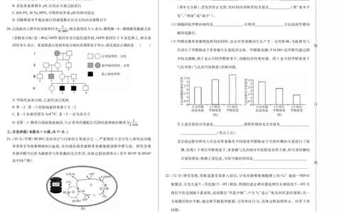 新时代高中教育联合体2025年11月高三学年期中联考巩固卷（二）生物_251112黑龙江省新时代高中教育联合体2025年11月高三学年期中联考巩固卷（二）（全科）
