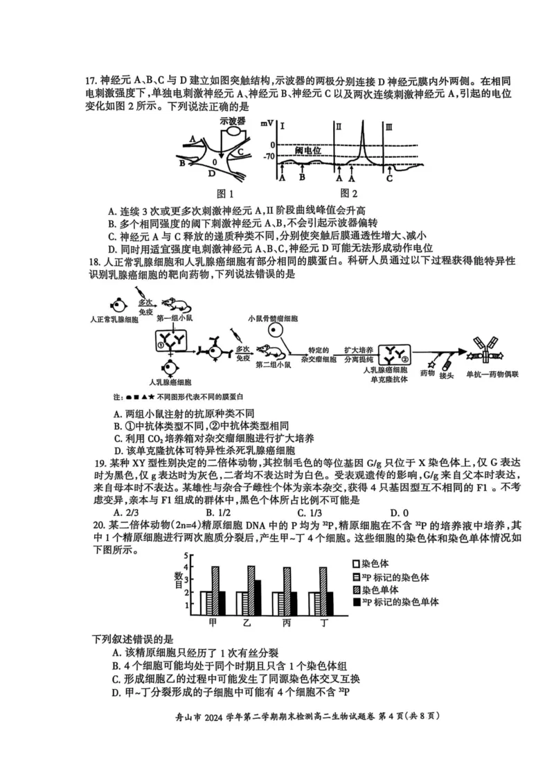 浙江省舟山市2024-2025学年高二下学期6月期末生物_2025年6月_250630浙江省舟山市2024-2025学年高二下学期6月期末考试（全科）_浙江省舟山市2024-2025学年高二下学期6月期末生物
