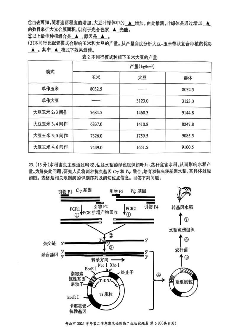 浙江省舟山市2024-2025学年高二下学期6月期末生物_2025年6月_250630浙江省舟山市2024-2025学年高二下学期6月期末考试（全科）_浙江省舟山市2024-2025学年高二下学期6月期末生物