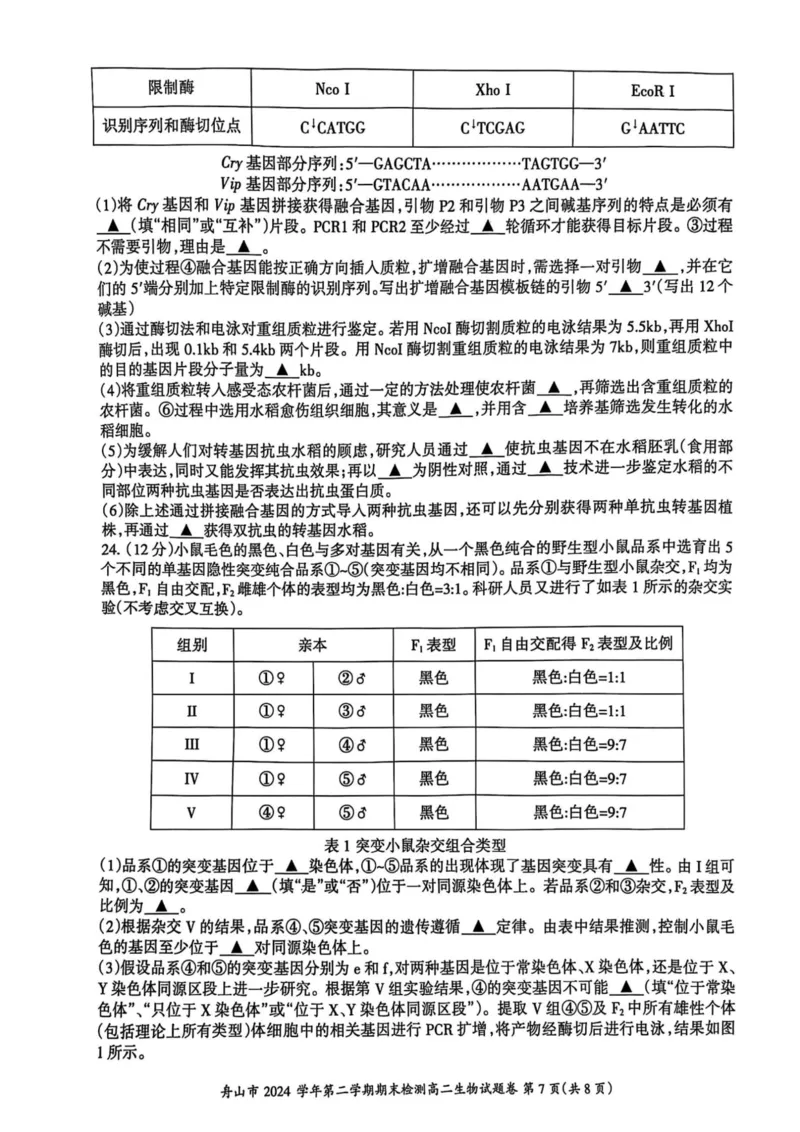 浙江省舟山市2024-2025学年高二下学期6月期末生物_2025年6月_250630浙江省舟山市2024-2025学年高二下学期6月期末考试（全科）_浙江省舟山市2024-2025学年高二下学期6月期末生物