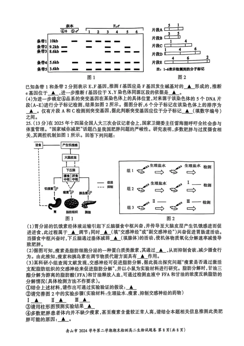 浙江省舟山市2024-2025学年高二下学期6月期末生物_2025年6月_250630浙江省舟山市2024-2025学年高二下学期6月期末考试（全科）_浙江省舟山市2024-2025学年高二下学期6月期末生物