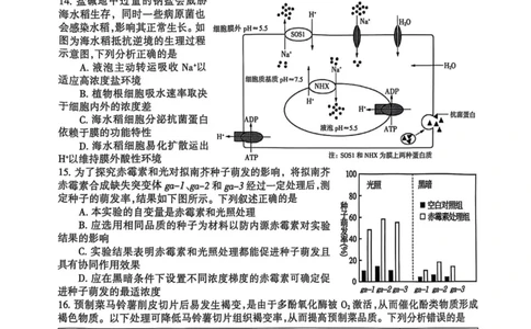浙江省舟山市2024-2025学年高二下学期6月期末生物_2025年6月_250630浙江省舟山市2024-2025学年高二下学期6月期末考试（全科）_浙江省舟山市2024-2025学年高二下学期6月期末生物