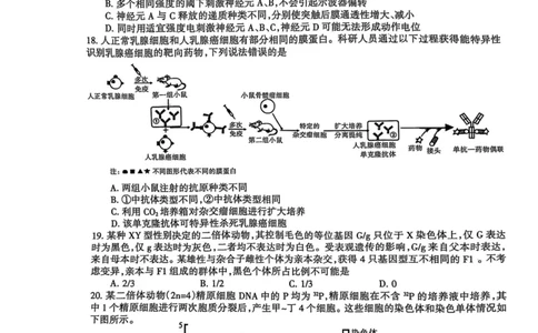 浙江省舟山市2024-2025学年高二下学期6月期末生物_2025年6月_250630浙江省舟山市2024-2025学年高二下学期6月期末考试（全科）_浙江省舟山市2024-2025学年高二下学期6月期末生物