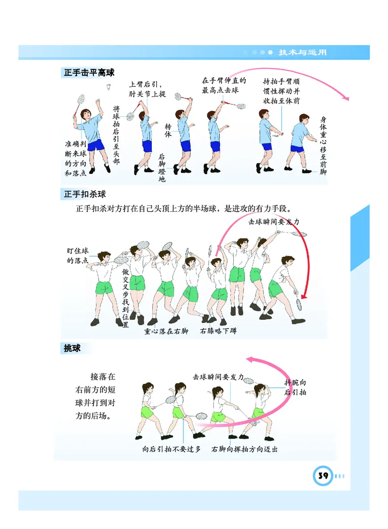 教科版8年级体育全一册高清教材_4-教培资料-26年最新资料-同步更新_初中高中教资_03科三专项（进去保存报考的学科即可）_02科三专项（笔记真题思维导图教学设计版本二）