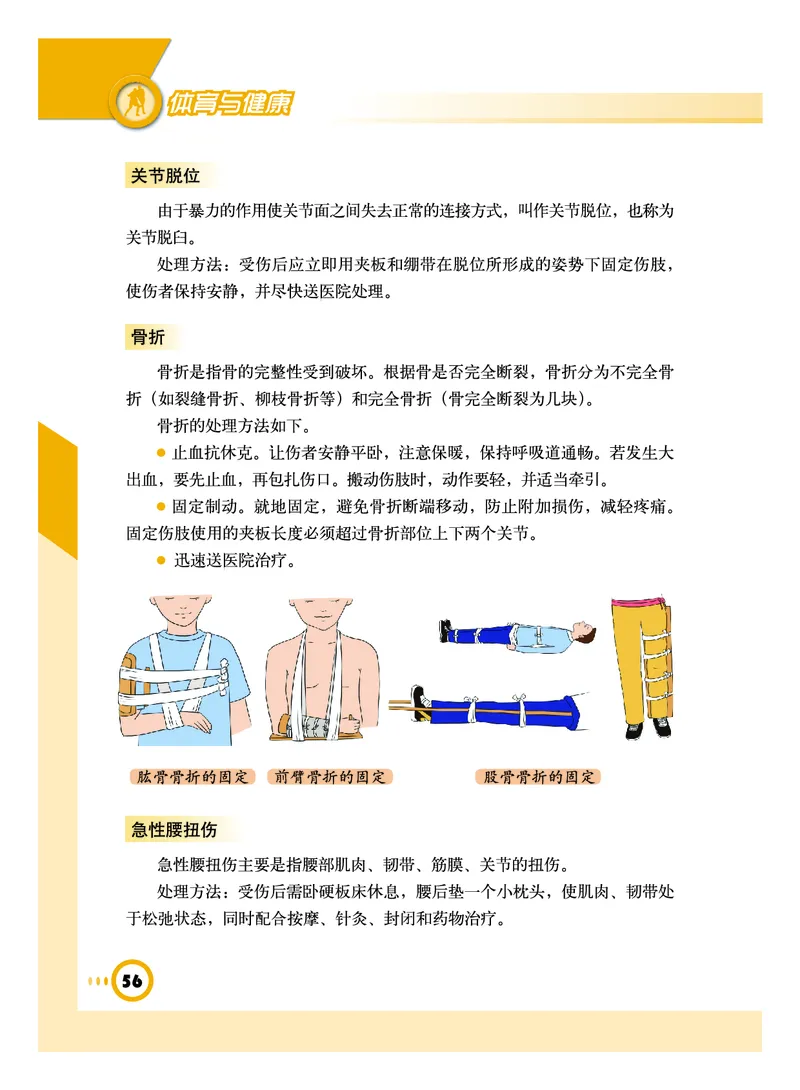 教科版8年级体育全一册高清教材_4-教培资料-26年最新资料-同步更新_初中高中教资_03科三专项（进去保存报考的学科即可）_02科三专项（笔记真题思维导图教学设计版本二）