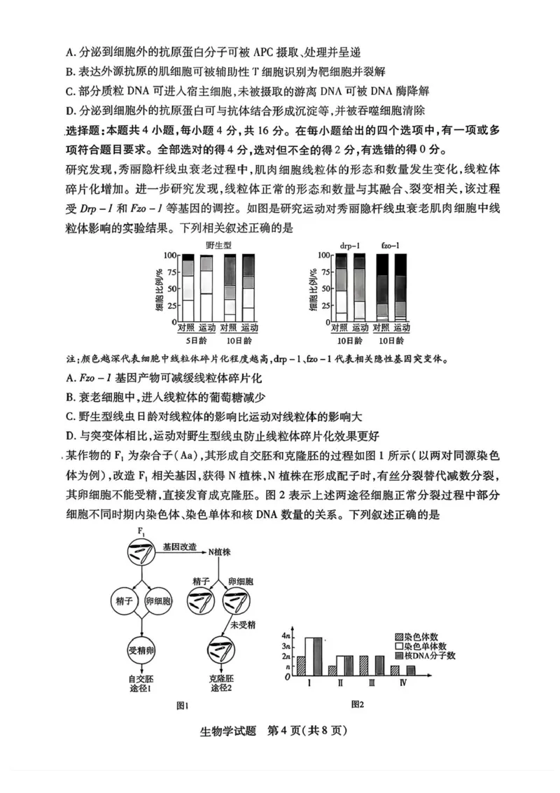2026届湖南省湘西土家族苗族自治州高三上学期一模生物试题（含答案）_251103湖南2025~2026学年高三湘一名校联盟&天一大联考10月联考(湘西州一模)（全科）