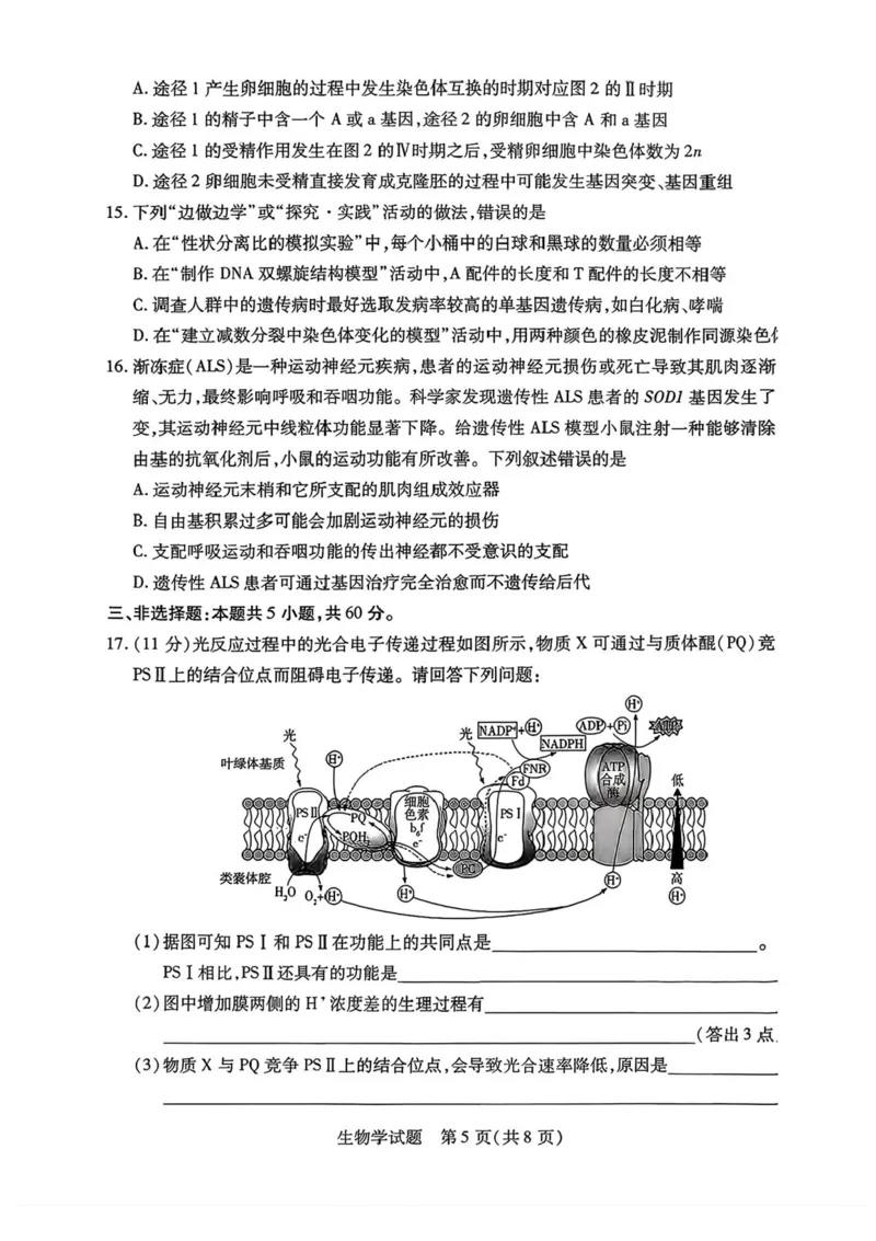 2026届湖南省湘西土家族苗族自治州高三上学期一模生物试题（含答案）_251103湖南2025~2026学年高三湘一名校联盟&天一大联考10月联考(湘西州一模)（全科）