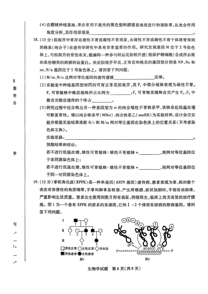 2026届湖南省湘西土家族苗族自治州高三上学期一模生物试题（含答案）_251103湖南2025~2026学年高三湘一名校联盟&天一大联考10月联考(湘西州一模)（全科）