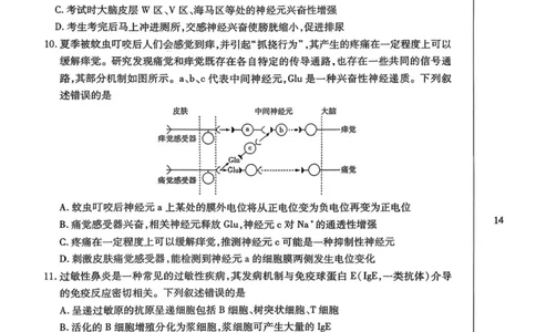 2026届湖南省湘西土家族苗族自治州高三上学期一模生物试题（含答案）_251103湖南2025~2026学年高三湘一名校联盟&天一大联考10月联考(湘西州一模)（全科）